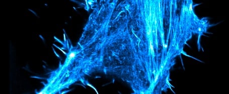 The Toolbox for Live-cell imaging