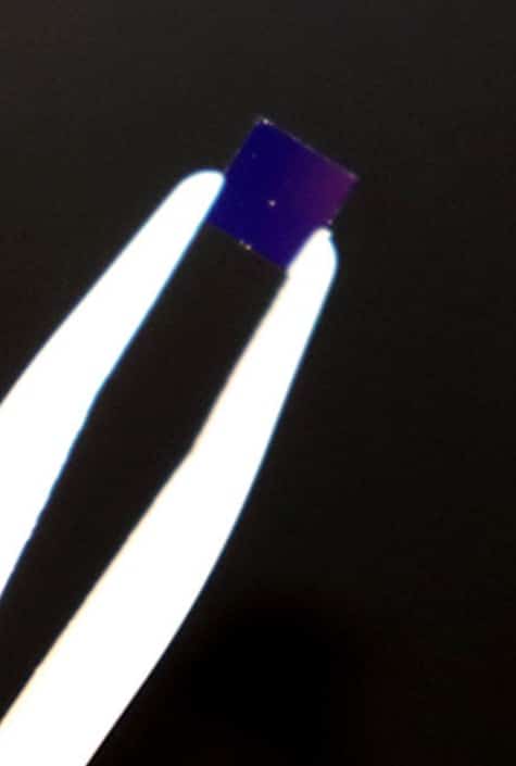 XFold slides cover slips