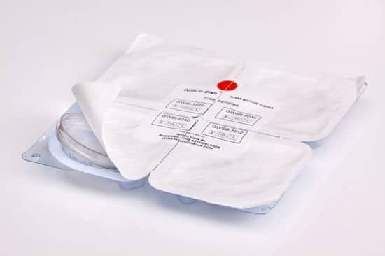 WillCo wells live imagining