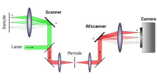 Concept of RCM point
