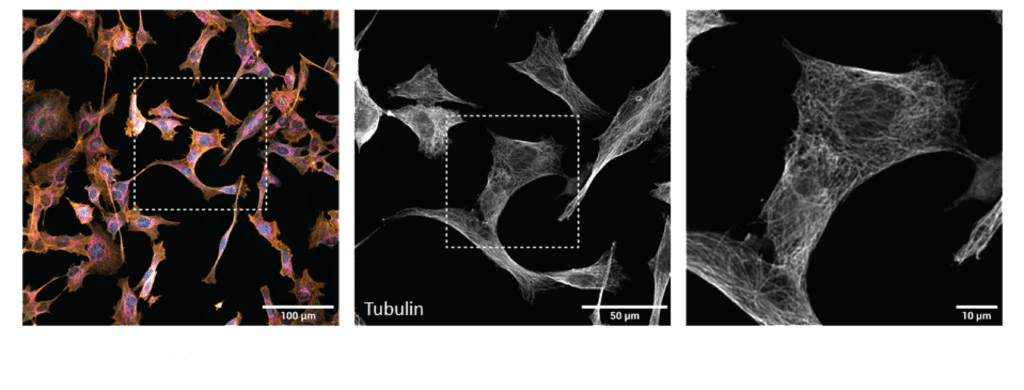 Image super wide resolution